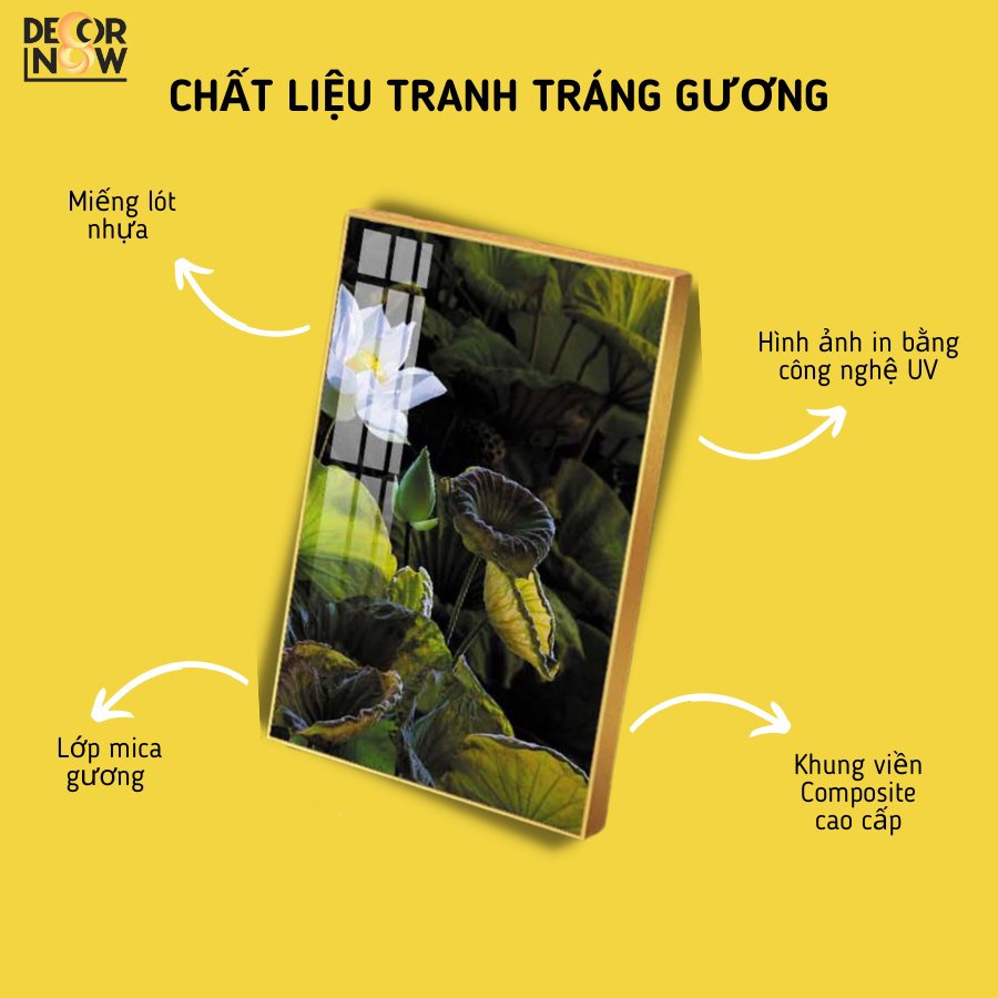 Tranh Tráng Gương Tròn Bán Nguyệt Họa Tiết Đối Xứng Độc Đáo HYX-8025 2 chat lieu tg