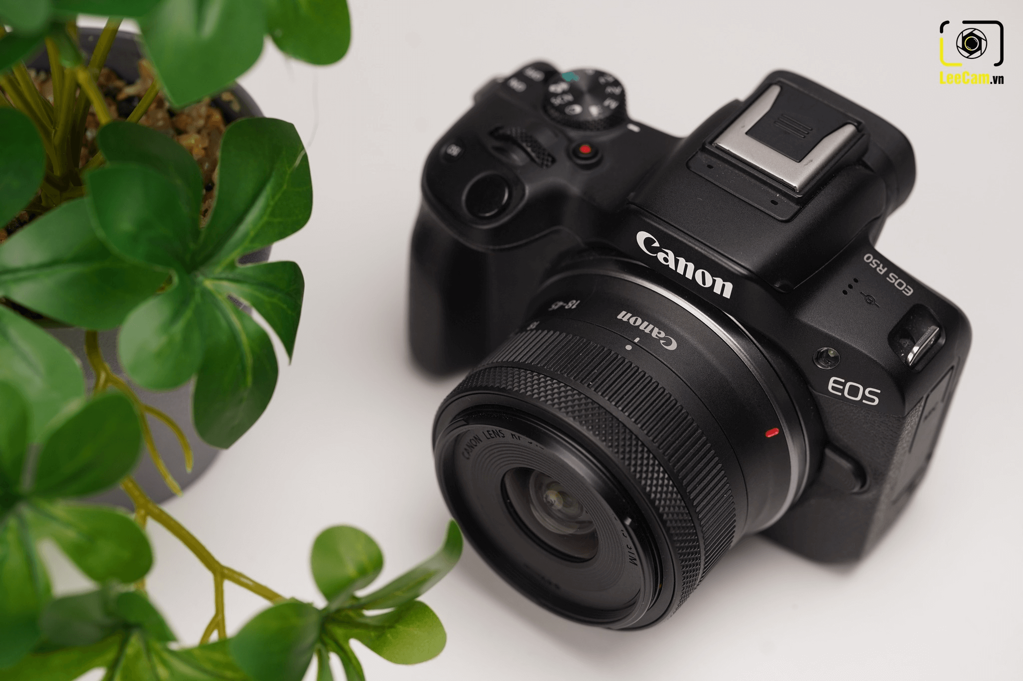 canon-eos-r50-chiec-may-anh-quoc-dan-cho-nguoi-moi-bat-dau-2025