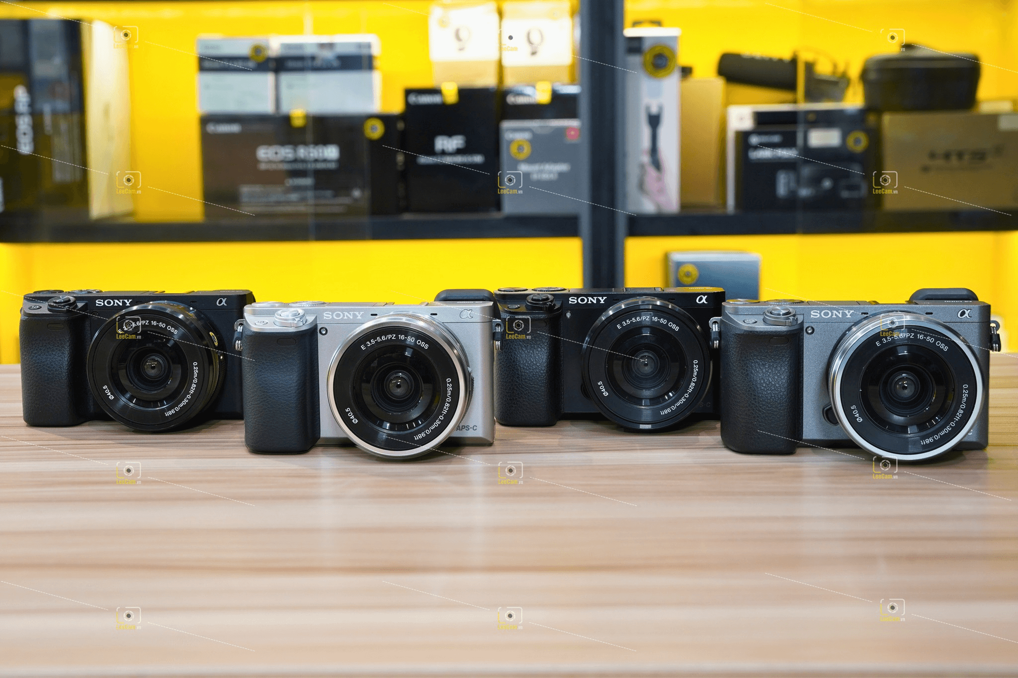 sony-a6000-chiec-may-anh-mirrorless-huyen-thoai-cho-nguoi-moi-bat-dau-2025
