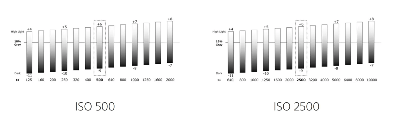 dual-base-iso-tren-sony-fx3-la-gi-giai-thich-de-hieu-cho-nguoi-moi