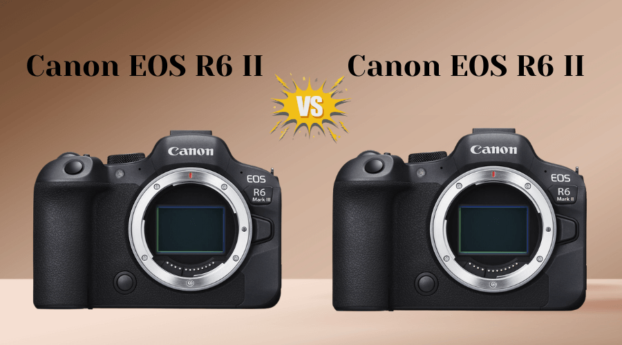 canon-eos-r6-vs-r6-mark-ii-khac-nhau-gi-co-nen-nang-cap-trong-nam-2025