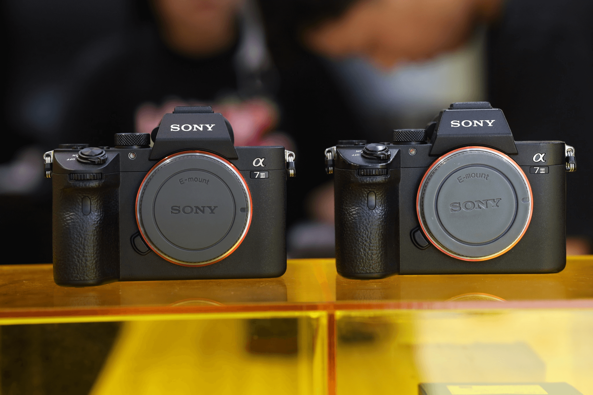 sony-a7-iii-nam-2025-con-dang-mua-khong-danh-gia-chi-tiet-truoc-khi-xuong-tien