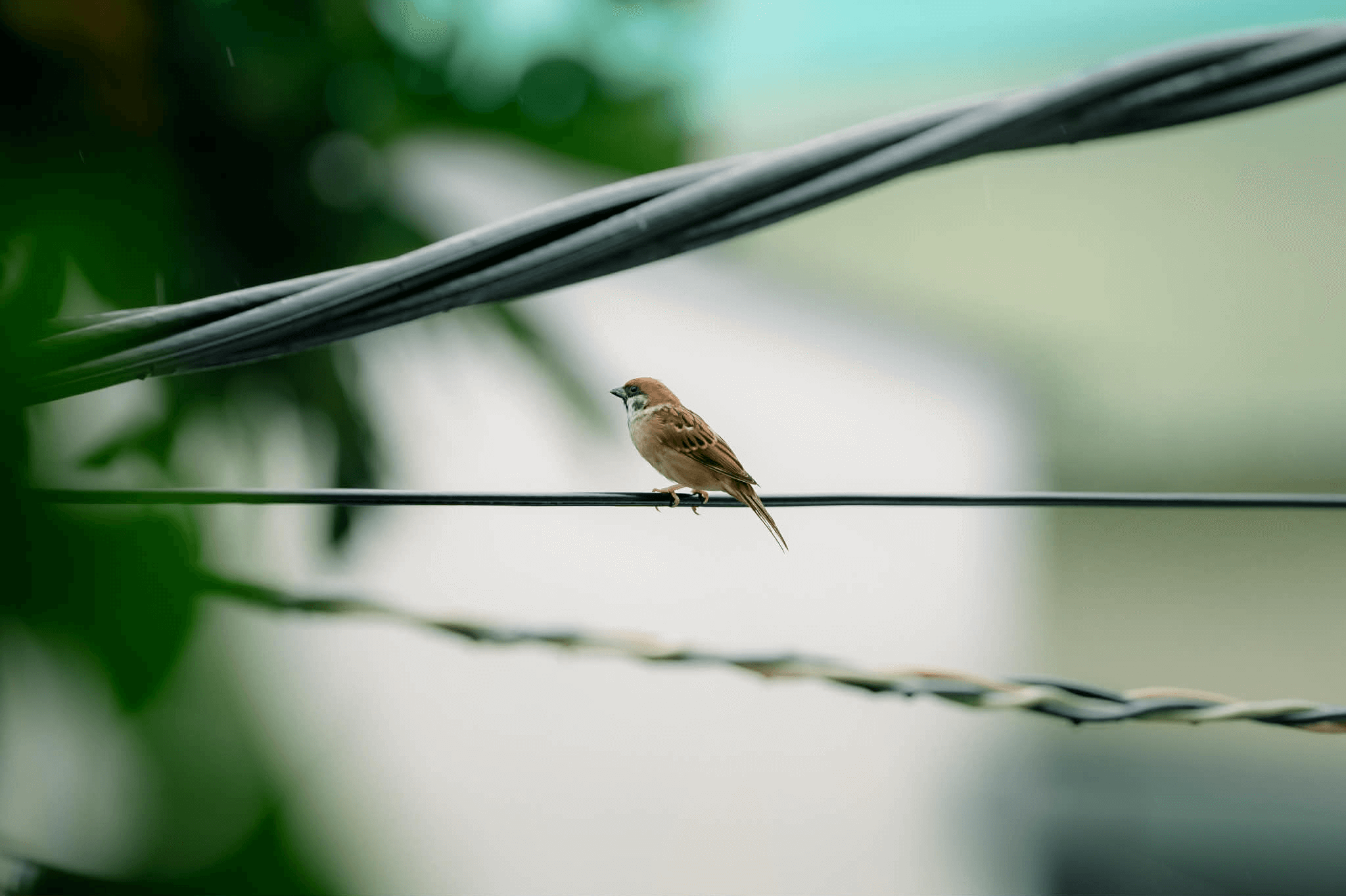 xoa-phong-la-gi-nhung-yeu-to-quyet-dinh-do-xoa-phong-trong-nhiep-anh