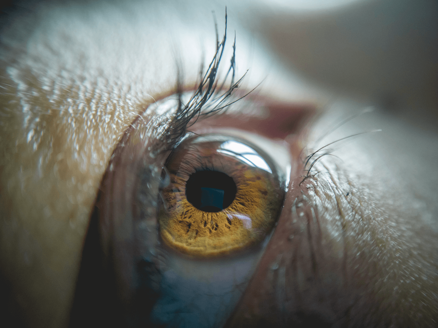 hinh-anh-chup-tu-lens-macro-leecam
