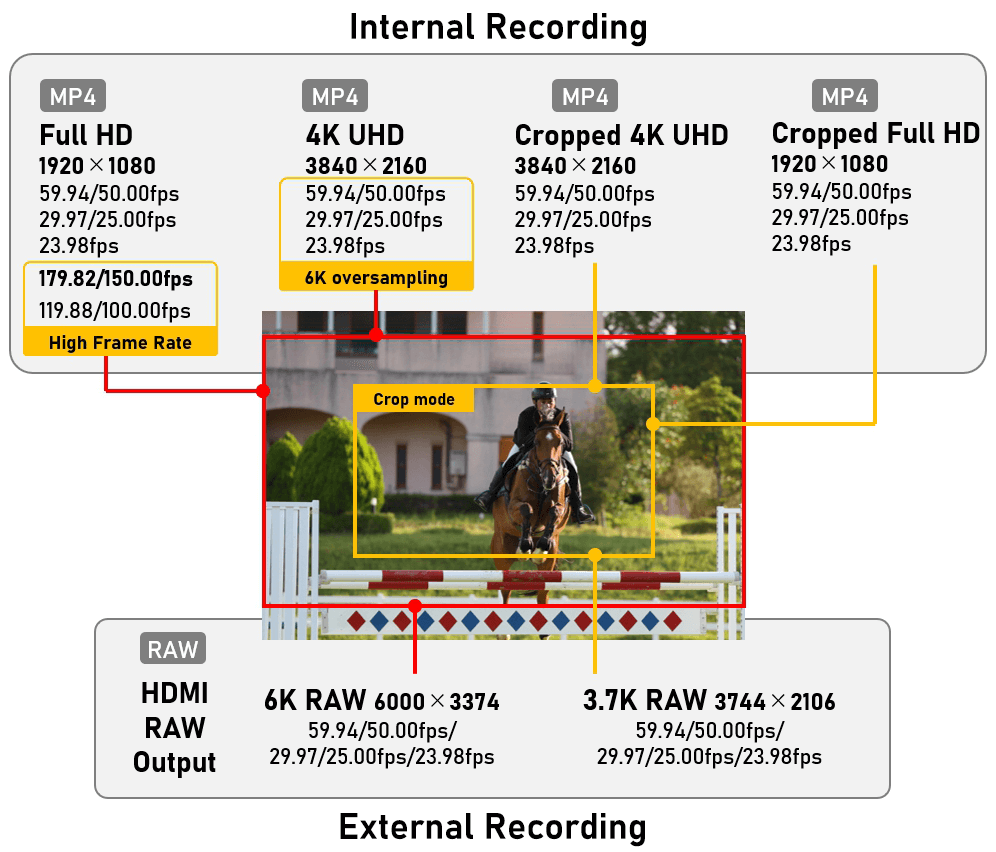 quay-tren-canon-r6-va-r6ii
