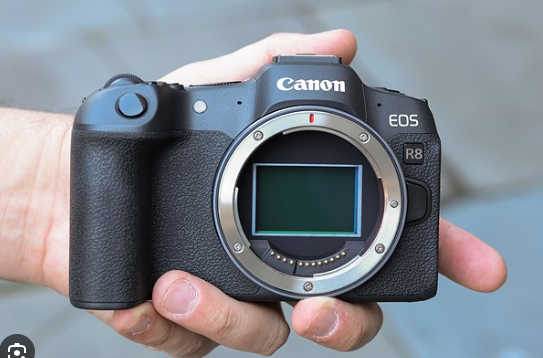 Cho Thuê Body Canon R8