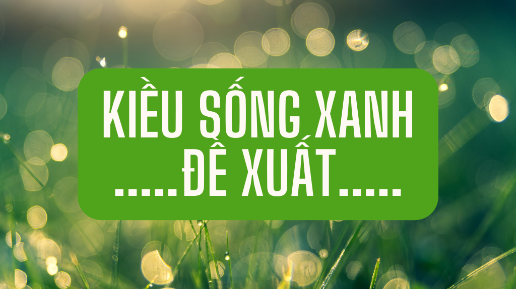Sản Phẩm Đề Xuất