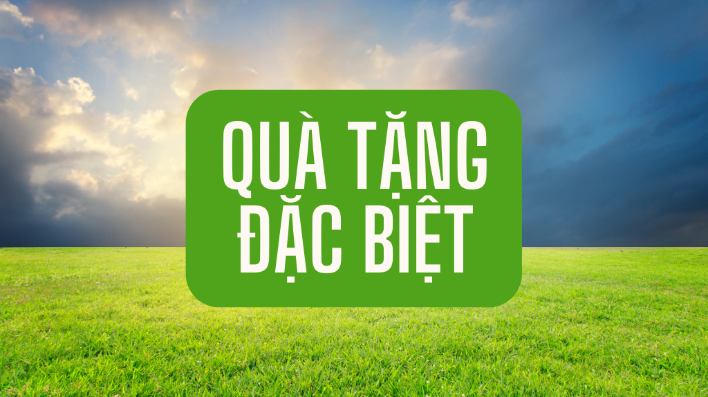 Quà Tặng Đặc Biệt