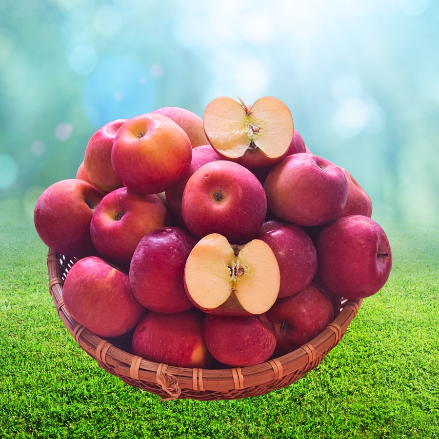 Táo Mật Phú Sỹ và Lê Mật Hà Giang (2kg)