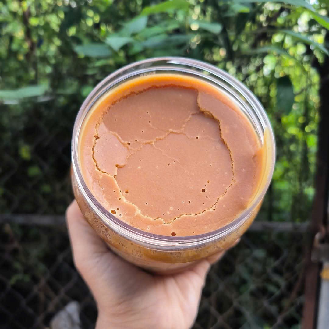 Đường Thốt Nốt Sò Cua 100% Tự Nhiên