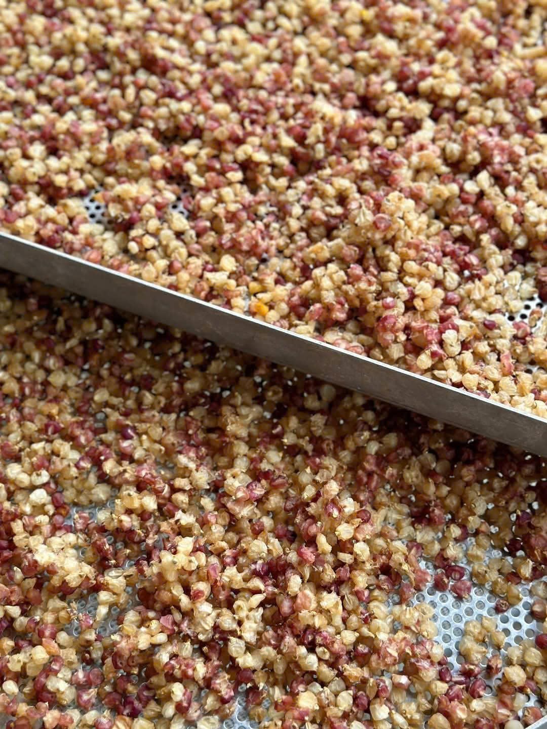 Ngô Nếp Mèo Rang Cay