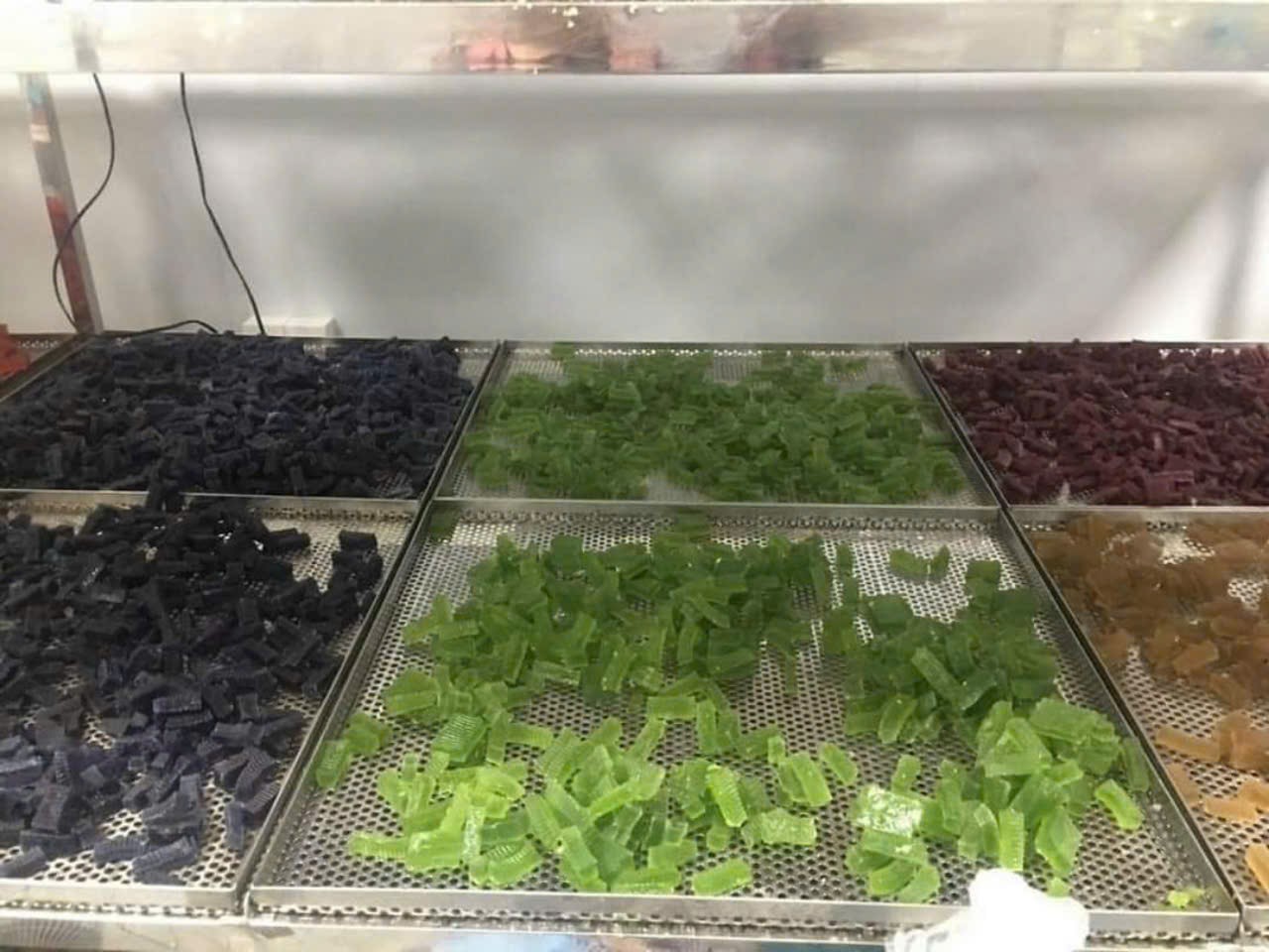 Rong sụn trái cây 500gr