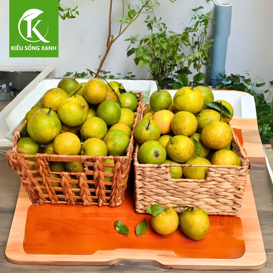 3KG Cam Xoàn Hữu Cơ Tươi Ngon - Hương Vị Độc Đáo (Set 3kg)