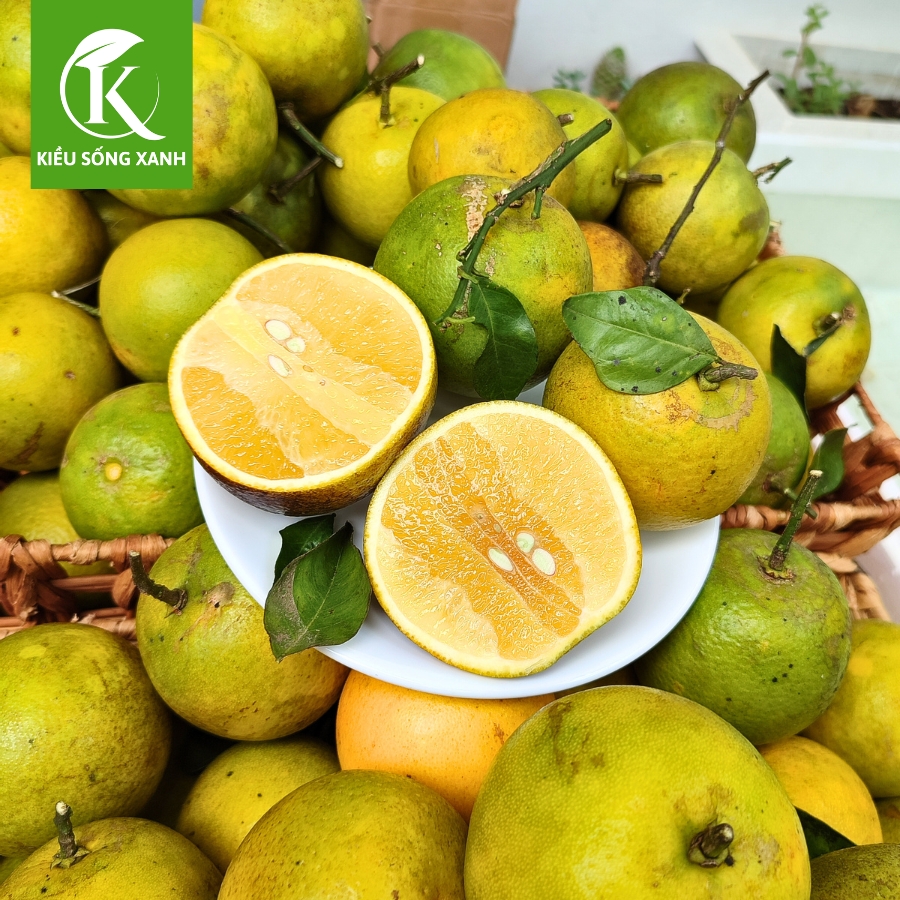 3KG Cam Xoàn Hữu Cơ Tươi Ngon - Hương Vị Độc Đáo (Set 3kg)