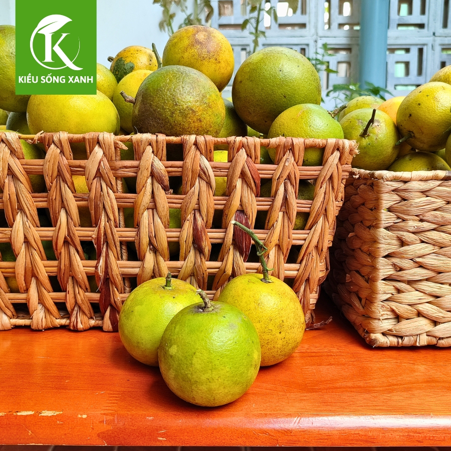 3KG Cam Xoàn Hữu Cơ Tươi Ngon - Hương Vị Độc Đáo (Set 3kg)