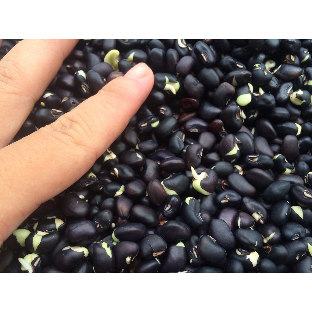 Trà đậu đen xanh lòng mầm 500gr