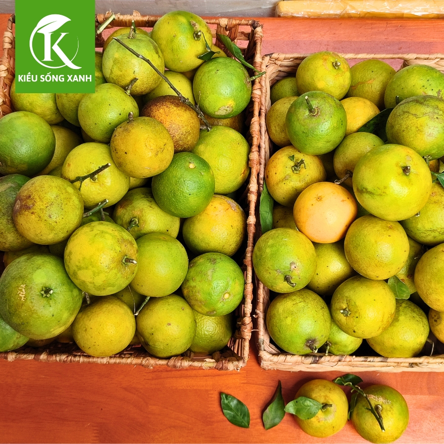 3KG Cam Xoàn Hữu Cơ Tươi Ngon - Hương Vị Độc Đáo (Set 3kg)