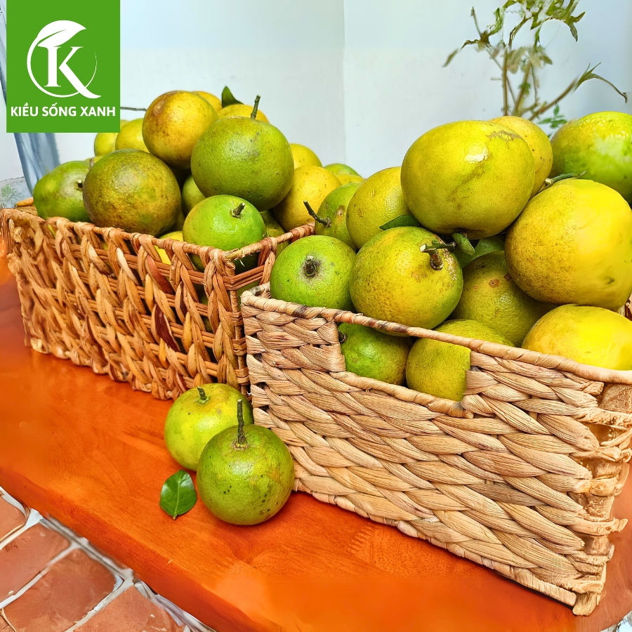 3KG Cam Xoàn Hữu Cơ Tươi Ngon - Hương Vị Độc Đáo (Set 3kg)