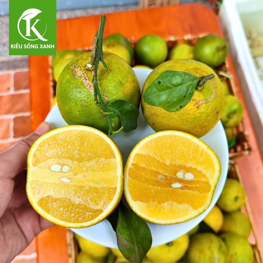 3KG Cam Xoàn Hữu Cơ Tươi Ngon - Hương Vị Độc Đáo (Set 3kg)