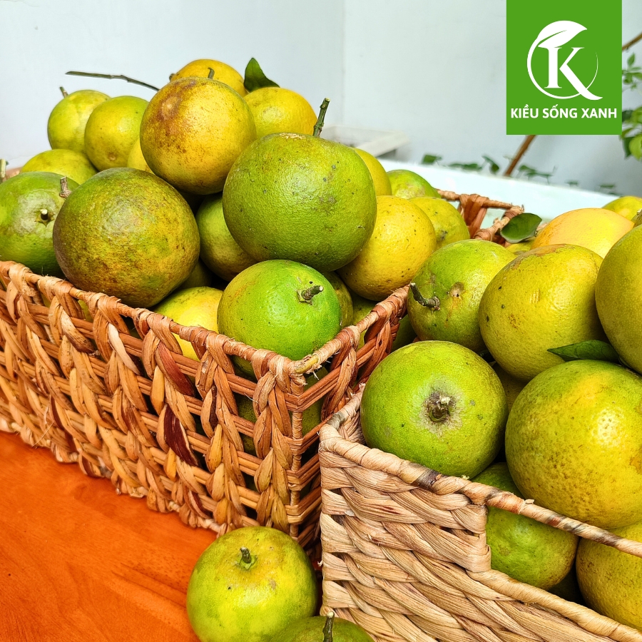 3KG Cam Xoàn Hữu Cơ Tươi Ngon - Hương Vị Độc Đáo (Set 3kg)