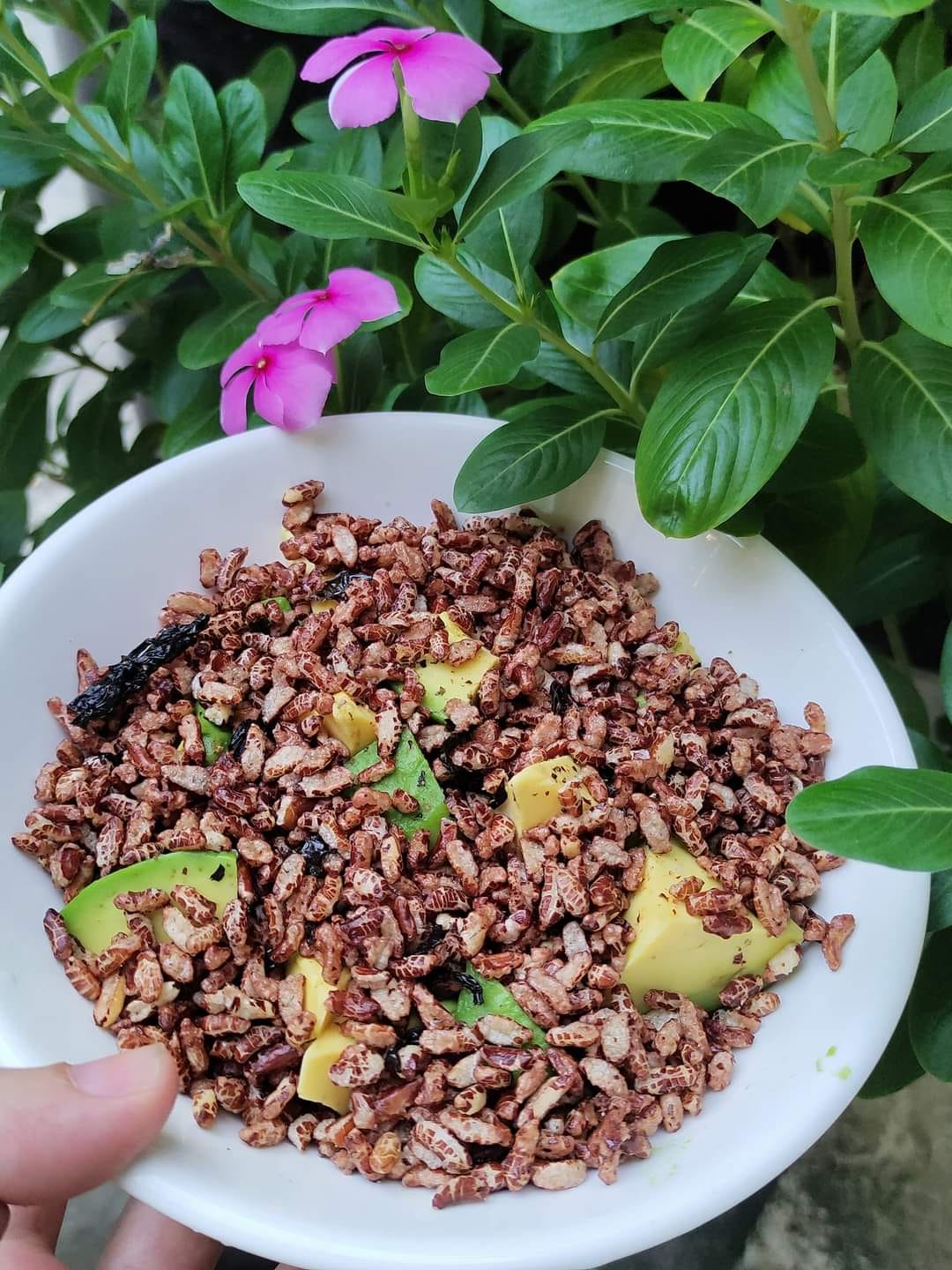 Cốm gạo lứt rong biển sấy