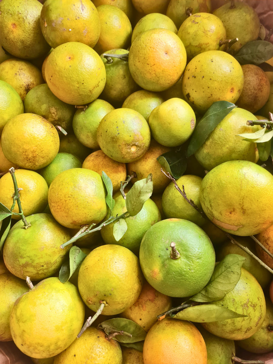 3KG Cam Xoàn Hữu Cơ Tươi Ngon - Hương Vị Độc Đáo (Set 3kg)