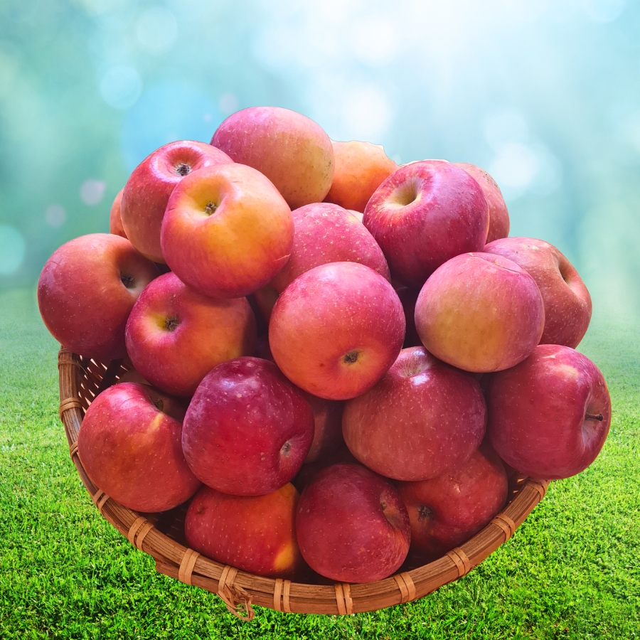 Táo Mật Phú Sỹ và Lê Mật Hà Giang (2kg)