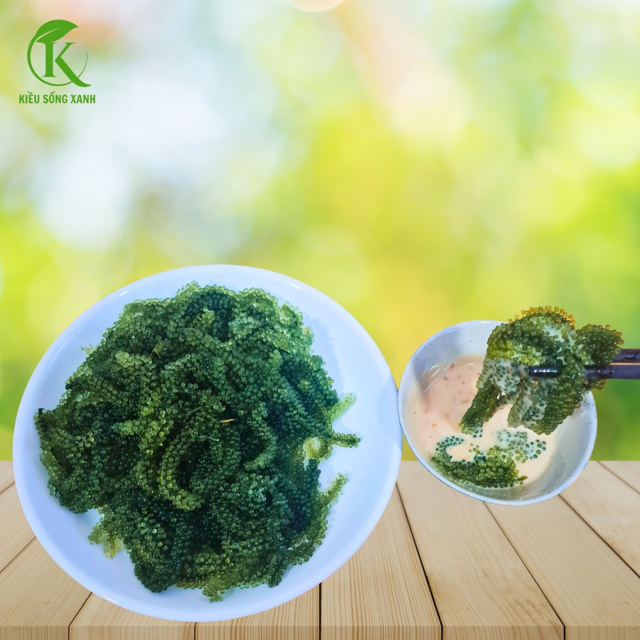 Rong Nho Tách Nước Ninh Thuận.