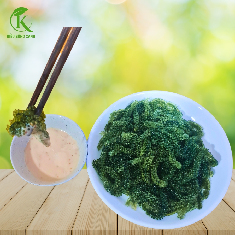 Rong Nho Tách Nước Ninh Thuận.