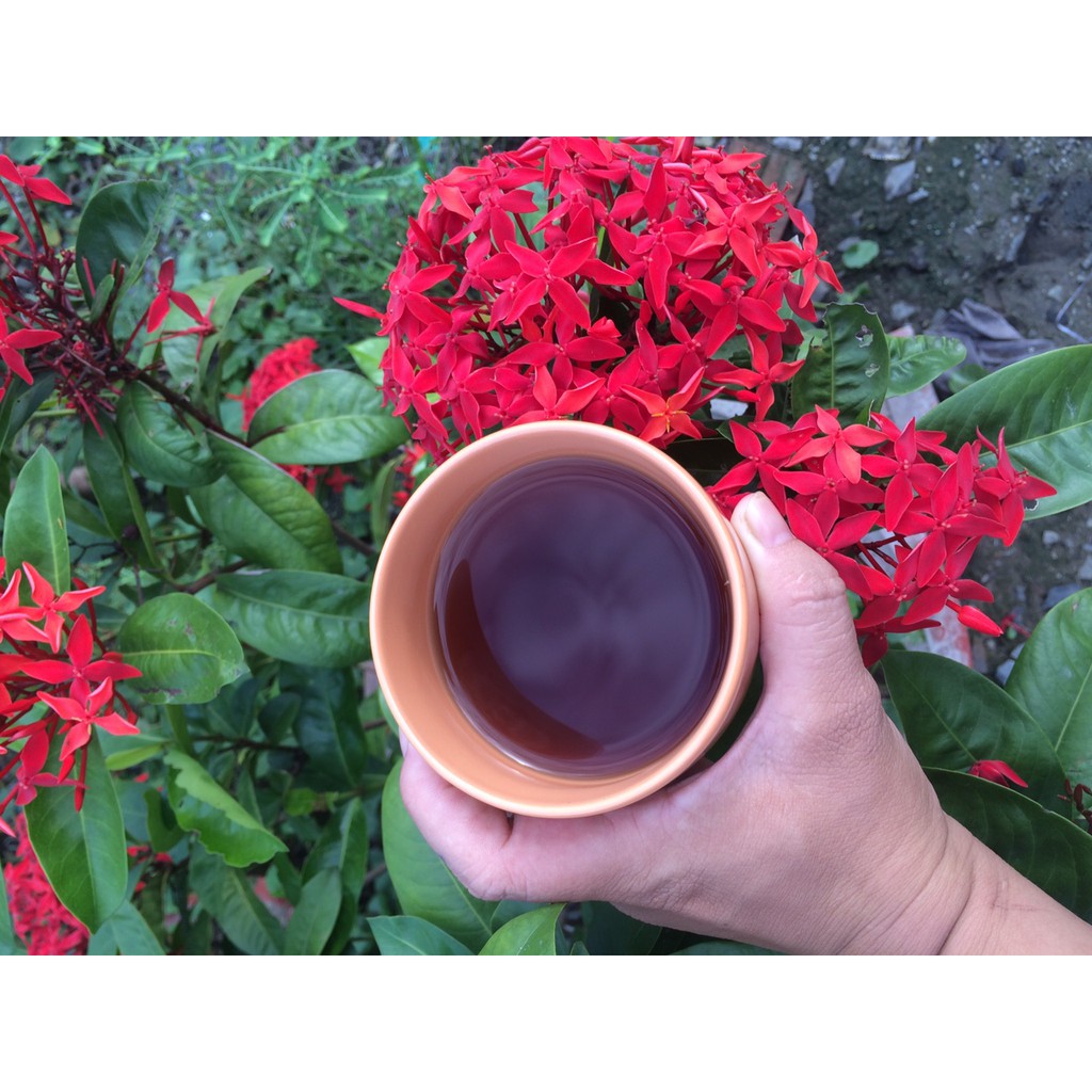 Trà đậu đen xanh lòng mầm 500gr