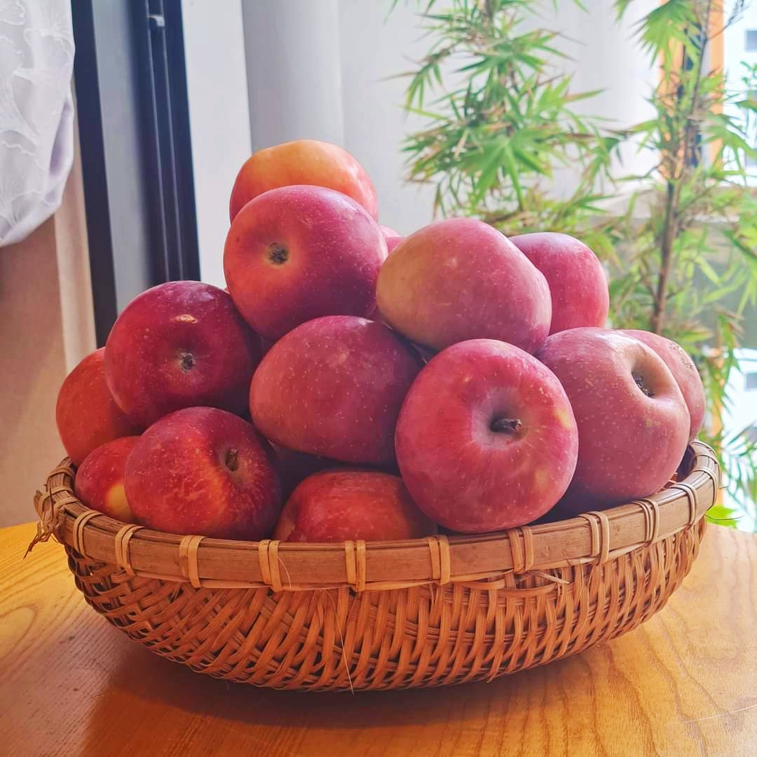 Táo Mật Phú Sĩ Tận Vườn