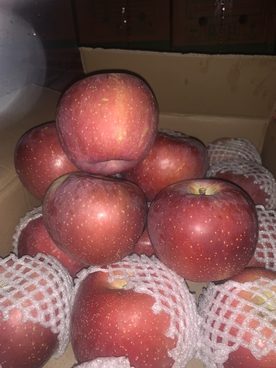 Táo Mật Phú Sĩ Tận Vườn