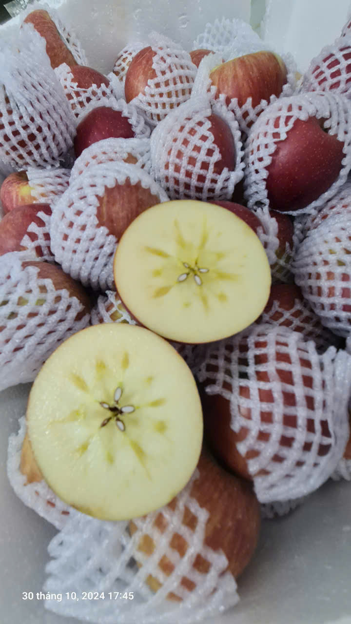 Táo Mật Phú Sỹ tận vườn