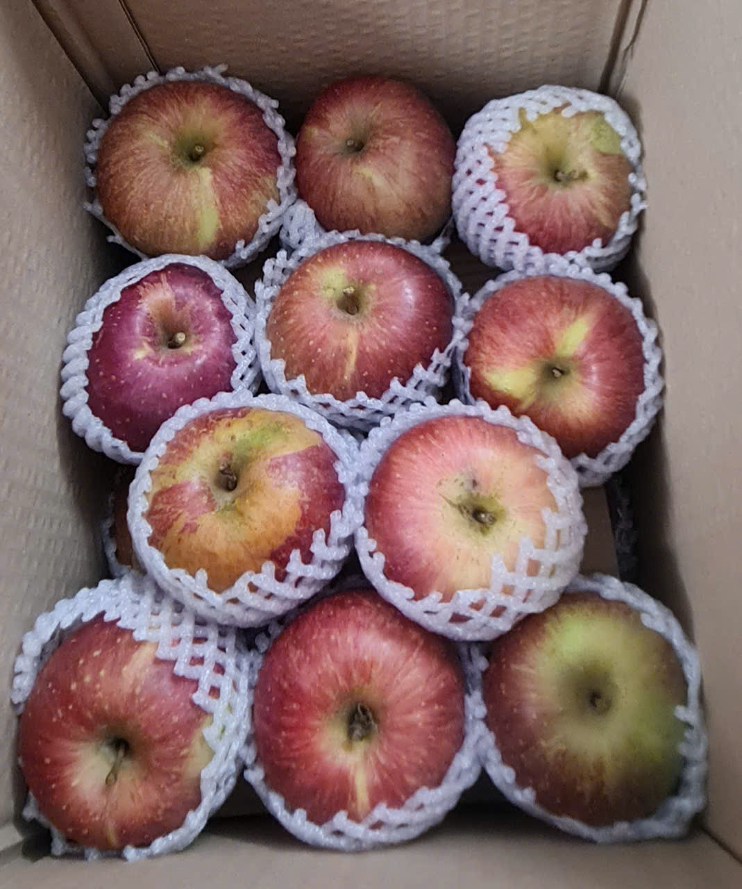 Táo Mật Phú Sỹ tận vườn