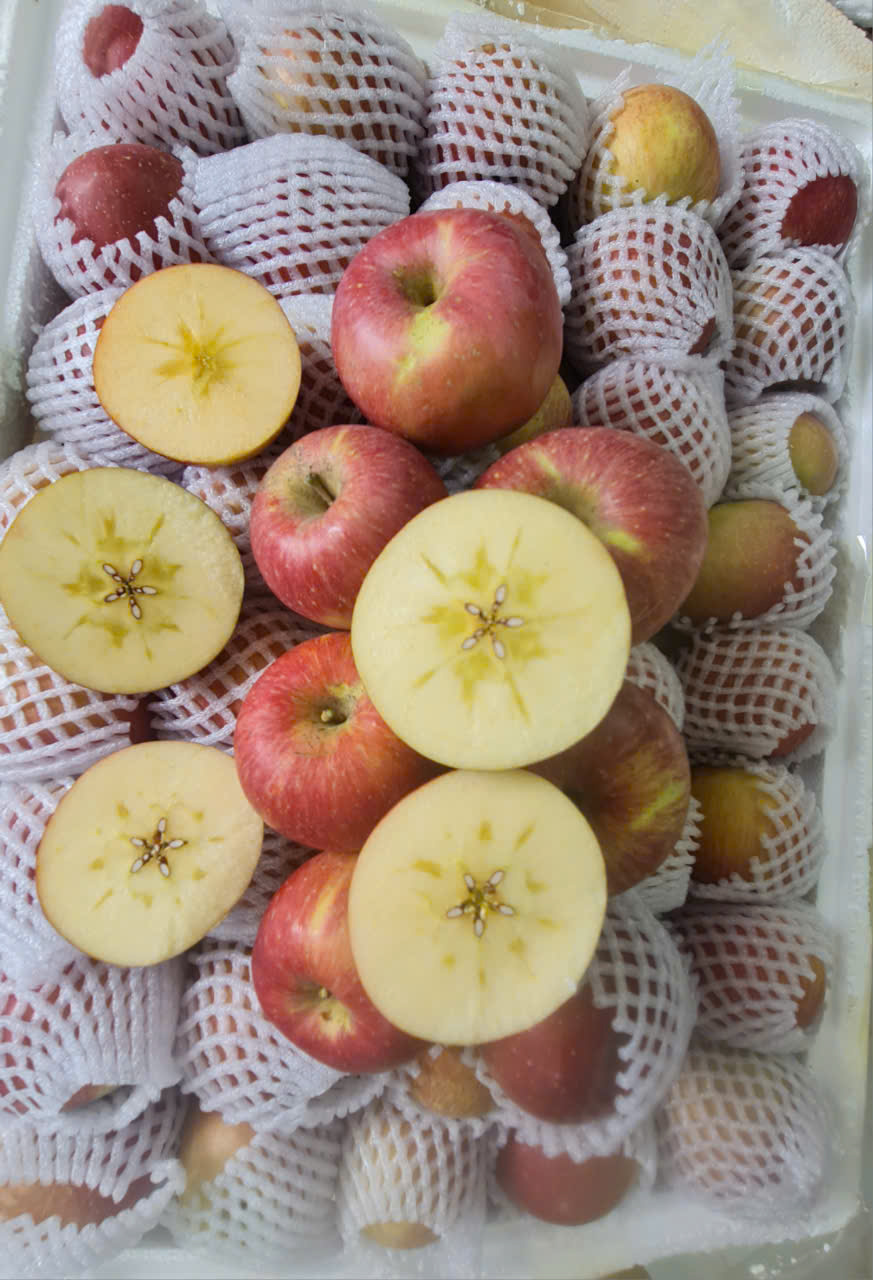 Táo Mật Phú Sỹ tận vườn