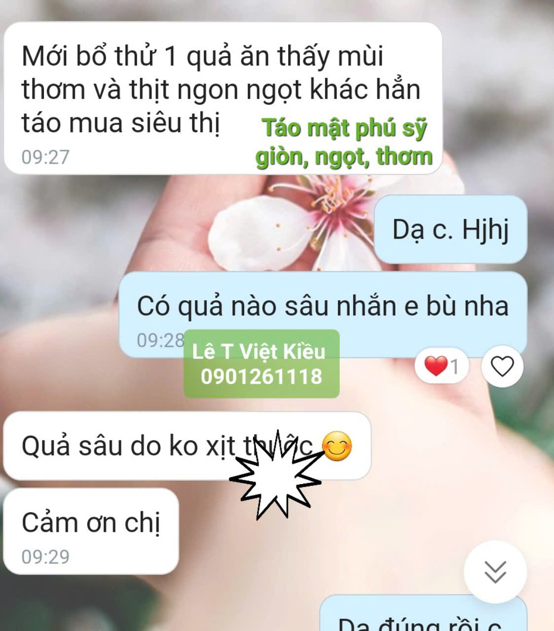 TÁO MẬT PHÚ SỸ VƯỜN QUÝ CHÂU TẬN VƯỜN