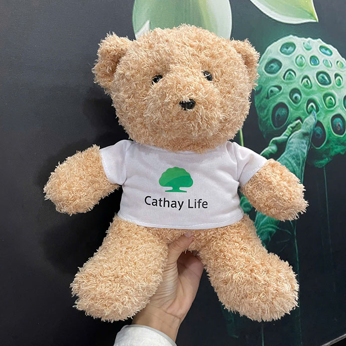 CT 401 - GỐI BÔNG GẤU TEDDY LÔNG XOẮN MẶC ÁO