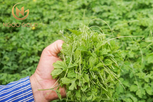 Những điều mẹ cần biết khi em bé bị hăm tã Những điều mẹ cần biết khi em bé bị hăm tã
