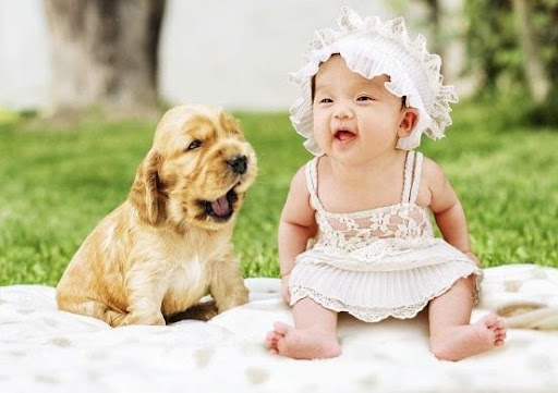 Mẹo chống hăm bỉm cho bé trên 30kg giúp mẹ an nhàn Mẹo chống hăm bỉm cho bé trên 30kg giúp mẹ an nhàn