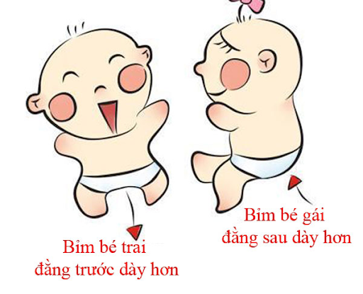 Cách chọn bỉm cho bé trai và bé gái có khác biệt gì?