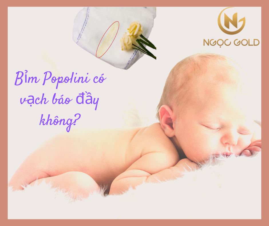 Bỉm Popolini có vạch báo đầy không? Tìm hiểu về bỉm Popolini