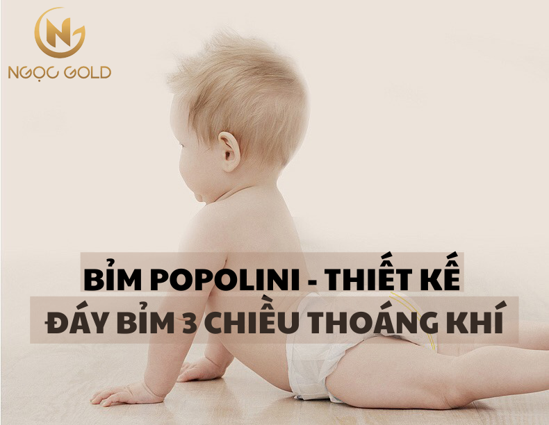 BỈM POPOLINI - THIẾT KẾ ĐÁY BỈM 3 CHIỀU THOÁNG KHÍ