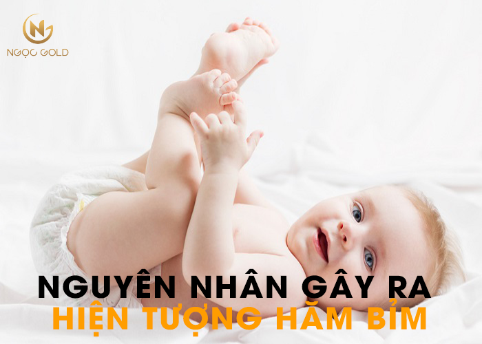 NGUYÊN NHÂN GÂY RA HIỆN TƯỢNG HĂM BỈM NGUYÊN NHÂN GÂY RA HIỆN TƯỢNG HĂM BỈM