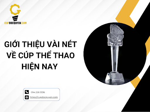 Top các loại cúp thể thao mới nhất và phổ biến nhất hiện nay