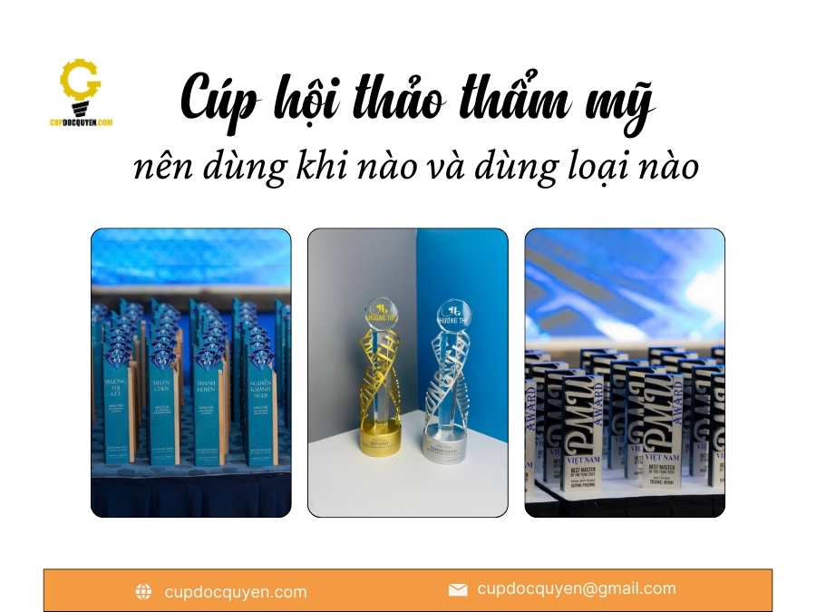 Cúp hội thảo thẩm mỹ: nên dùng khi nào và dùng loại nào?
