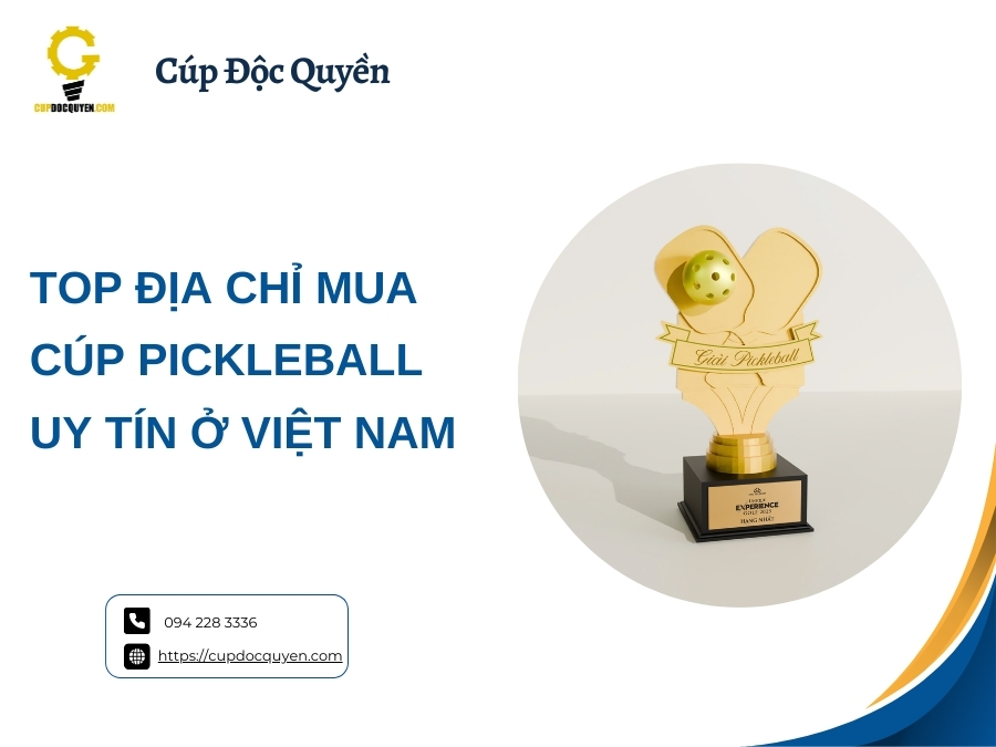Mua cúp Pickleball ở đâu uy tín và chất lượng ở đâu?