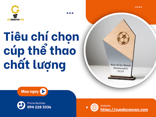 Tiêu chí chọn cúp thể thao chất lượng: Hướng dẫn chi tiết từ A-Z