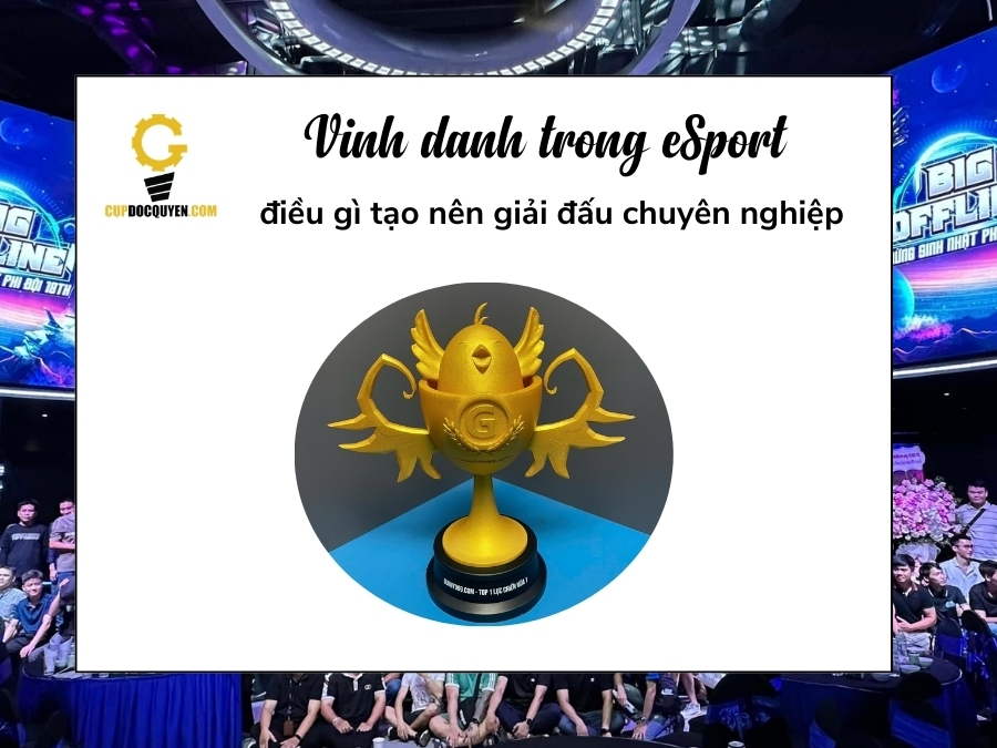 Vinh danh trong eSport: điều gì tạo nên giải đấu chuyên nghiệp