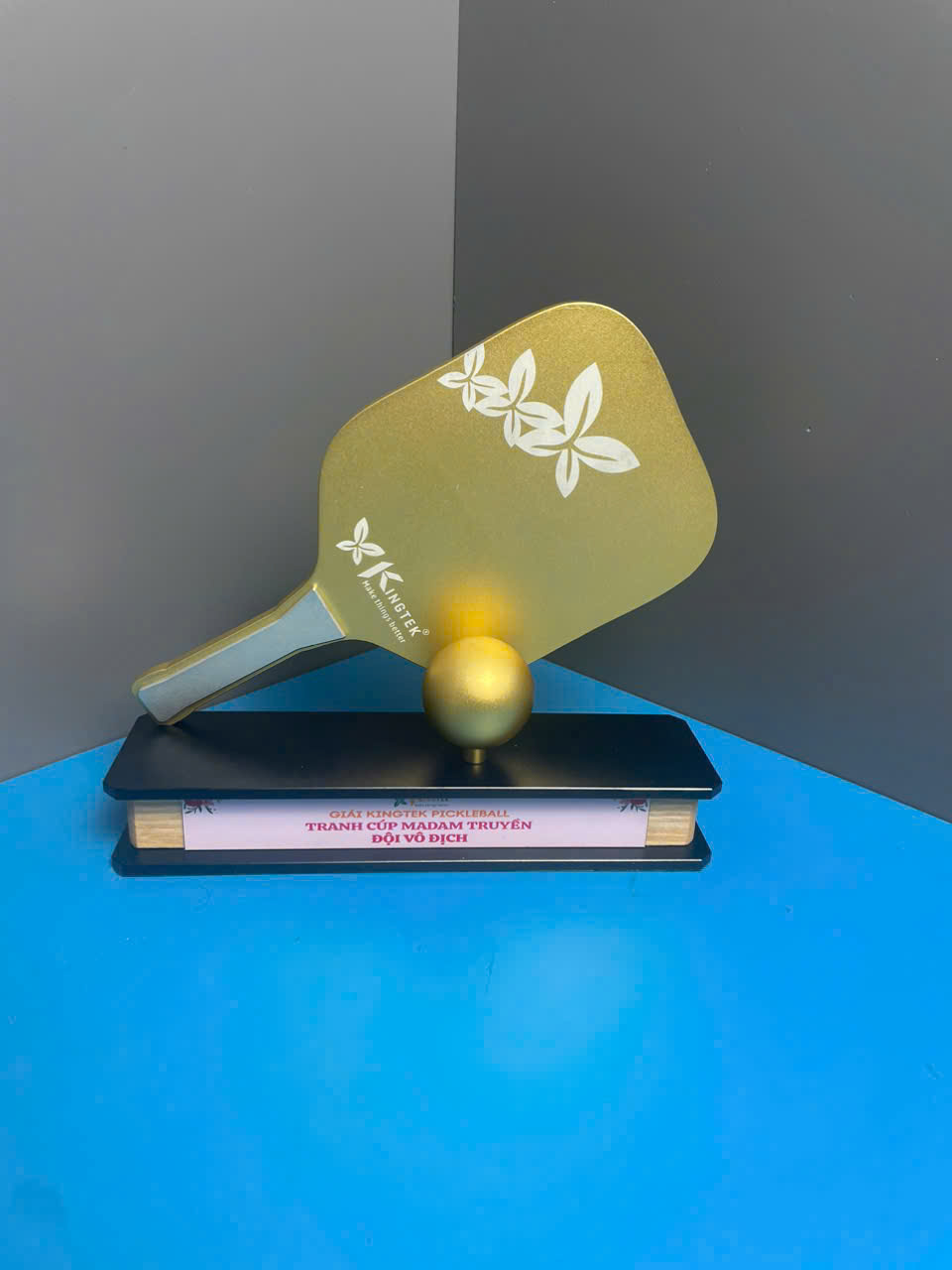 Cup-pickleball