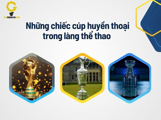 Cup-the-thao-chuyen-nghiep